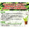 「エコー金属 活力剤8P(観葉植物用) 1561-676 1セット」の商品サムネイル画像3枚目