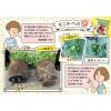 「花ごころ フルボ酸配合花ちゃん培養土ab 12L 4977445092500 1袋」の商品サムネイル画像6枚目