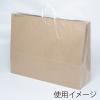 「シモジマ HEIKO ポリ袋 バイオレイニーポリ 62-58 (60-2用) 006607157 1袋(50枚)」の商品サムネイル画像2枚目