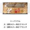 「ヘッズ 無地スマートボックス/ダークグレー-11 MSD-GB11 1個(10枚)」の商品サムネイル画像6枚目