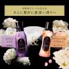 「レノア オードリュクス  ホワイトムスク＆アプリコット 本体 470mL 1個 香り付け専用ビーズ P＆G」の商品サムネイル画像6枚目