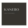 「KANEBO（カネボウ） ライブリースキン ウェアII 110 30g」の商品サムネイル画像6枚目