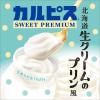 「【ワゴンセール】【賞味期限2025/10/31】カルピス SWEET PREMIUM 北海道生クリームのプリン風 470ml  6本（わけあり品）」の商品サムネイル画像3枚目
