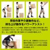 「【アウトレット】モリトジャパン 全身アシストパワースーツL 腰周り85~110cm/身長170~185cm程度 4902993111434 1台」の商品サムネイル画像4枚目