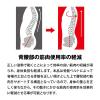 「【アウトレット】モリトジャパン 全身アシストパワースーツL 腰周り85~110cm/身長170~185cm程度 4902993111434 1台」の商品サムネイル画像8枚目