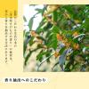 「生活の木　金木犀ネイルオイル　2ml」の商品サムネイル画像4枚目