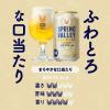「父の日 ビール 【ワゴンセール】クラフトビール SPRING VALLEY スプリングバレー シルクエール 白 350ml 1パック（6本）（わけあり品）」の商品サムネイル画像6枚目
