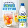 「【ワゴンセール】【強炭酸水】キリンビバレッジ キリンレモン炭酸水 無糖 500ml 1セット（6本）（わけあり品）」の商品サムネイル画像7枚目