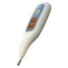 「シチズン電子体温計 CTEB723CA 1セット（2本） シチズン・システムズ」の商品サムネイル画像2枚目