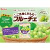 「製菓材  ご当地くだものフルーチェ 山梨県産シャインマスカット 果汁使用 150g 1個」の商品サムネイル画像4枚目