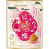 「【ワゴンセール】やわらかはちみつ梅 40g 3袋 カンロ おつまみ/珍味（わけあり品）」の商品サムネイル画像2枚目