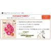 「【ワゴンセール】やわらかはちみつ梅 40g 3袋 カンロ おつまみ/珍味（わけあり品）」の商品サムネイル画像5枚目