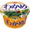 「【ワゴンセール】わかめラーメン　しじみだし・みそ 3個 エースコック（わけあり品）」の商品サムネイル画像2枚目