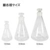 「【アウトレット】ビッグマン 共栓三角フラスコ500ml6-016-08 051968 1個」の商品サムネイル画像4枚目