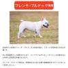 「ウェルケア フレンチ・ブルドッグ専用 アダルト〜シニア 中粒タイプ 国産 2.7kg（900g×3袋）1袋 イースター ドッグフード」の商品サムネイル画像3枚目