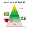 「KANEBO（カネボウ）  クリーム イン デイＩＩ 40g おまけ付き」の商品サムネイル画像6枚目
