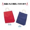 「ササガワ 手提げバッグ 10Pエメラルド 小 50-6108 1包 (10枚袋入)」の商品サムネイル画像6枚目