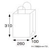 「ササガワ 手提げバッグ 10Pエメラルド 小 50-6108 1包 (10枚袋入)」の商品サムネイル画像7枚目