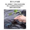 「岩谷マテリアル 岩谷 穴あきトマト黒マルチ 0.02×950×50m 2100719 1巻」の商品サムネイル画像6枚目