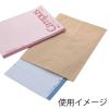 「シモジマ 柄小袋 H-8 未晒無地 006530504 1袋(100枚)」の商品サムネイル画像2枚目