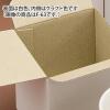 「シモジマ フリーBOX Fー67 006206120 1束(10枚)」の商品サムネイル画像2枚目