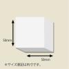 「シモジマ DX白無地箱 Aー1 アクセサリー用 S 006814700 1束(10枚)」の商品サムネイル画像2枚目