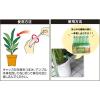 「サンアンドホープ 活力液 33ml 4543693013804 1セット(21本入)」の商品サムネイル画像3枚目