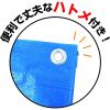「【ブルーシート】 フローバル PROSTYLE TOOL ブルーシート 厚手#3000 PBS3-10×10 1枚」の商品サムネイル画像3枚目