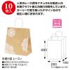 「ササガワ 手提げバッグ レースィ 中 50-6612 1包 (10枚袋入)」の商品サムネイル画像2枚目
