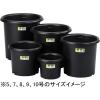「グリーンパル 菊鉢 5号 1個」の商品サムネイル画像3枚目