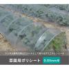 「第一ビニール 菜園用ポリシート0.05mm×150cm×10m 4968438014302 1枚」の商品サムネイル画像2枚目