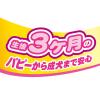 「ペティオ 体にうれしい ボーロちゃん 大粒 国産 100g 3個 ドッグフード 犬 おやつ」の商品サムネイル画像4枚目
