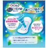 「吸水パッド ライフリー いつもの下着で安心パッド 100cc 1セット (22枚×3パック) ユニ・チャーム 尿漏れパッド」の商品サムネイル画像2枚目