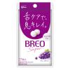 BREO SUPER（ブレオスーパー）＜グレープミント＞ 5袋 江崎グリコ タブレット