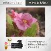 「ニコン デジタルカメラ COOLPIX P1100 1台」の商品サムネイル画像6枚目