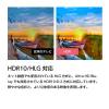 「ドウシシャ SMART TV シリーズ FHD 40V型液晶テレビ OLS40WD10 1台」の商品サムネイル画像6枚目