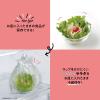 「プラスプラス 手提げキッチンポリ袋 取っ手付 半透明 Ｍ マチ付 1セット（1パック（100枚入）×3）オルディ」の商品サムネイル画像7枚目