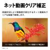 「シャープ 液晶テレビ 4TC42FL1 1台」の商品サムネイル画像5枚目