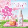 「【アウトレット】レノア リセット セラム 柔軟剤 さくらフローラル 詰め替え 特大 680mL 1セット（1個×2） P＆G」の商品サムネイル画像4枚目