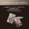 「Visee（ヴィセ） リシェ パノラマデザイン アイパレット BR-1 （ベージュブラウン） コーセー」の商品サムネイル画像6枚目