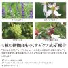 「iroha INTIMATE CARE インティメートウォッシュ 150ml ベルガモットのビターオレンジの香【泡タイプ】」の商品サムネイル画像6枚目