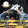 「BLACK WOLF（ブラックウルフ）ボリュームアップ スカルプシャンプー シトラスアロマ 本体 380ml 男性用 大正製薬」の商品サムネイル画像2枚目