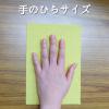 「金鳥 サッサ ホコリ取りクロス ドライシート ハーフサイズ 1パック（30枚入）家具 家電 網戸 フローリング 大日本除虫菊 キンチョー 限定」の商品サムネイル画像5枚目