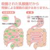 「【ワゴンセール】いなば食品 1兆個 すごい乳酸菌ドリンクブルーベリー果汁入り 5本（わけあり品）」の商品サムネイル画像4枚目