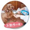 「泡でふきとるドライシャンプー 手足用 犬猫用シャンプー 350ml 1個 ペティオ」の商品サムネイル画像2枚目