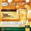 「コカ・コーラ カナダドライ ジンジャーエール 700ml 1箱（20本入）」の商品サムネイル画像5枚目