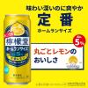 「チューハイ 檸檬堂 ホームランサイズ 定番レモン 500ml 1ケース（24本入）」の商品サムネイル画像4枚目