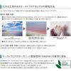「南の極み　天日塩　さらさら小粒　500g 1個 日仏貿易」の商品サムネイル画像4枚目