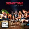 「GIGASTONE SDXCカード UHSー1 U3 A1 V30 128GB GJSXR-128GV3A1 1枚」の商品サムネイル画像4枚目
