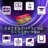 「GIGASTONE microSDXCカード UHSー1 A1 V30 64GB 2枚入り GJMXR-64GV3A1100R-2PK 1セット」の商品サムネイル画像3枚目